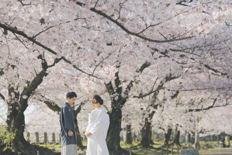 【桜に囲まれて・・】