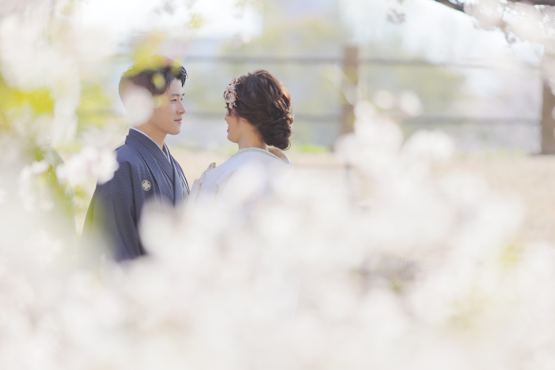 【桜の中で・・・】