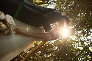 スタジオ2着ロケーション1着ランクフリープラン