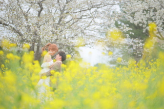 2着ロケプラン　－海の中道海浜公園・松風園ー