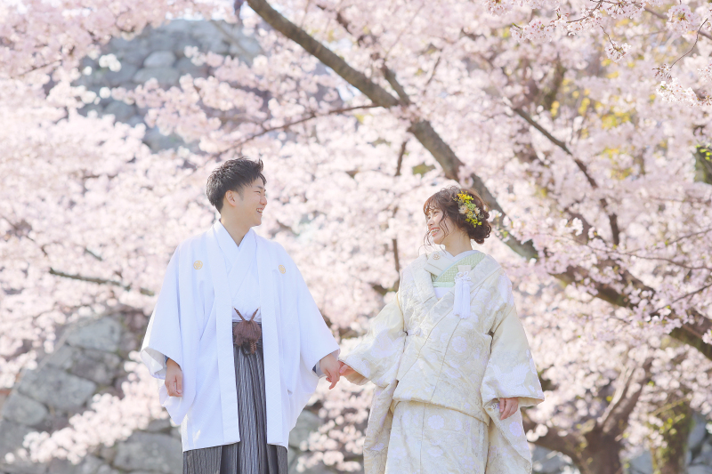 桜ロケーション❀