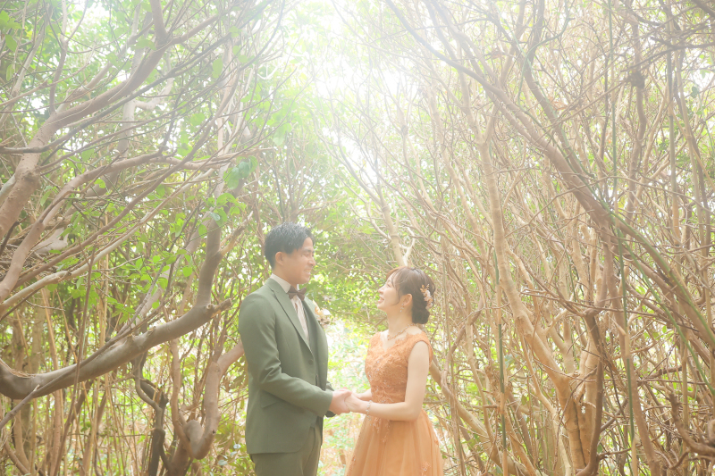 糸島トトロの森