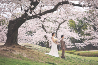 studio marry_桜ロケフォト-Cherry Blossoms