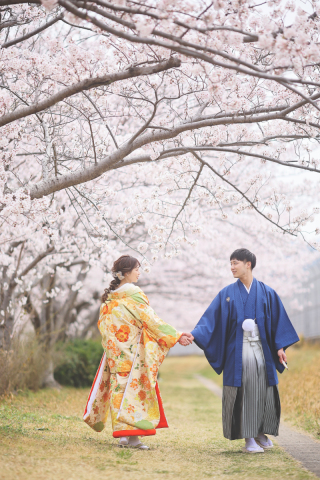 studio marry_桜ロケフォト-Cherry Blossoms