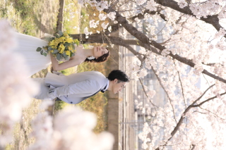 studio marry_桜ロケフォト-Cherry Blossoms
