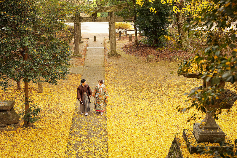 studio marry_神社・寺院で撮影できる