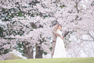 studio marry_桜ロケフォト-Cherry Blossoms