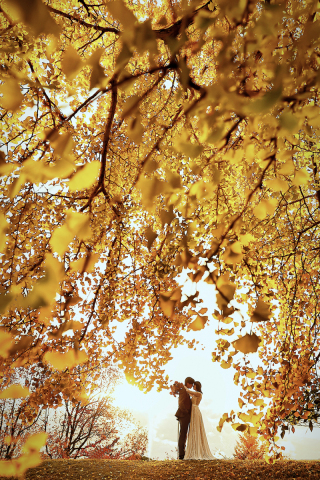 studio marry_紅葉ロケフォト-秋autumn(和洋)
