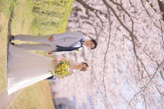 studio marry_桜ロケフォト-Cherry Blossoms