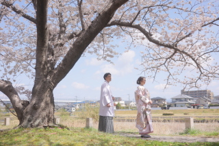 studio marry_桜ロケフォト-Cherry Blossoms