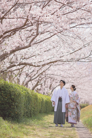 studio marry_桜ロケフォト-Cherry Blossoms