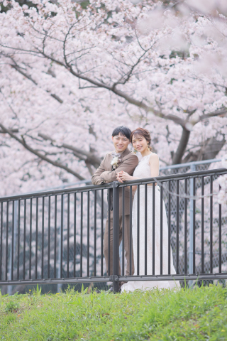 studio marry_桜ロケフォト-Cherry Blossoms