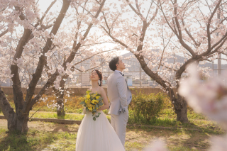 studio marry_桜ロケフォト-Cherry Blossoms