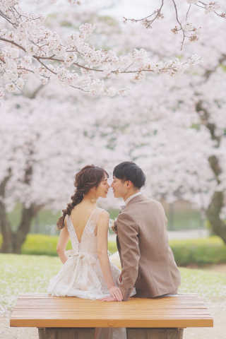 studio marry_桜ロケフォト-Cherry Blossoms