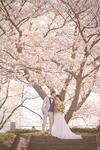 studio marry_桜ロケフォト-Cherry Blossoms