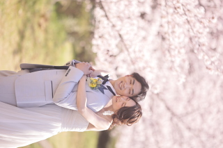 studio marry_桜ロケフォト-Cherry Blossoms