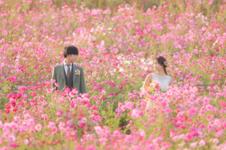 studio marry_お花ロケフォト-flower