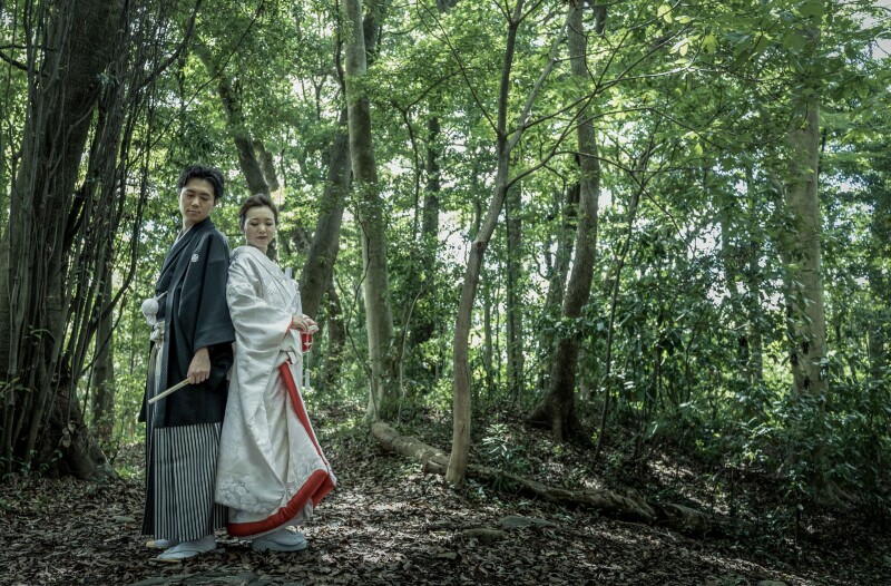 樹林地で差し込む光と共に