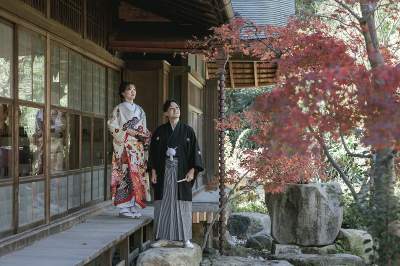 紅葉した木々と共に