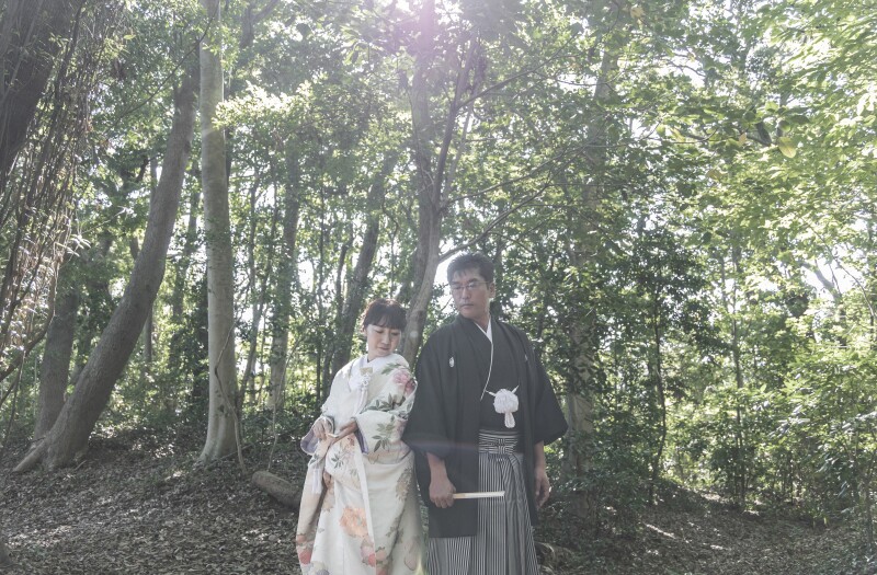 光の差し込む樹林地にて