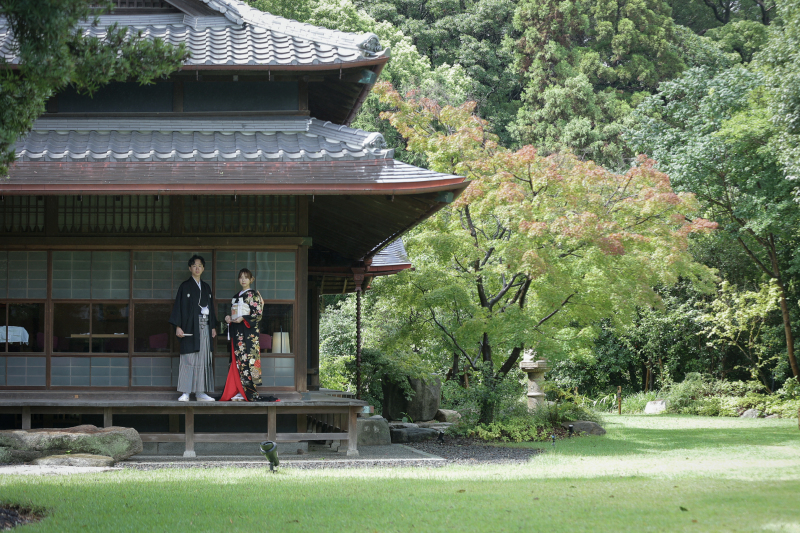 夏だからこそ 大迫力の庭園