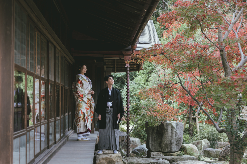 紅葉のカーテン