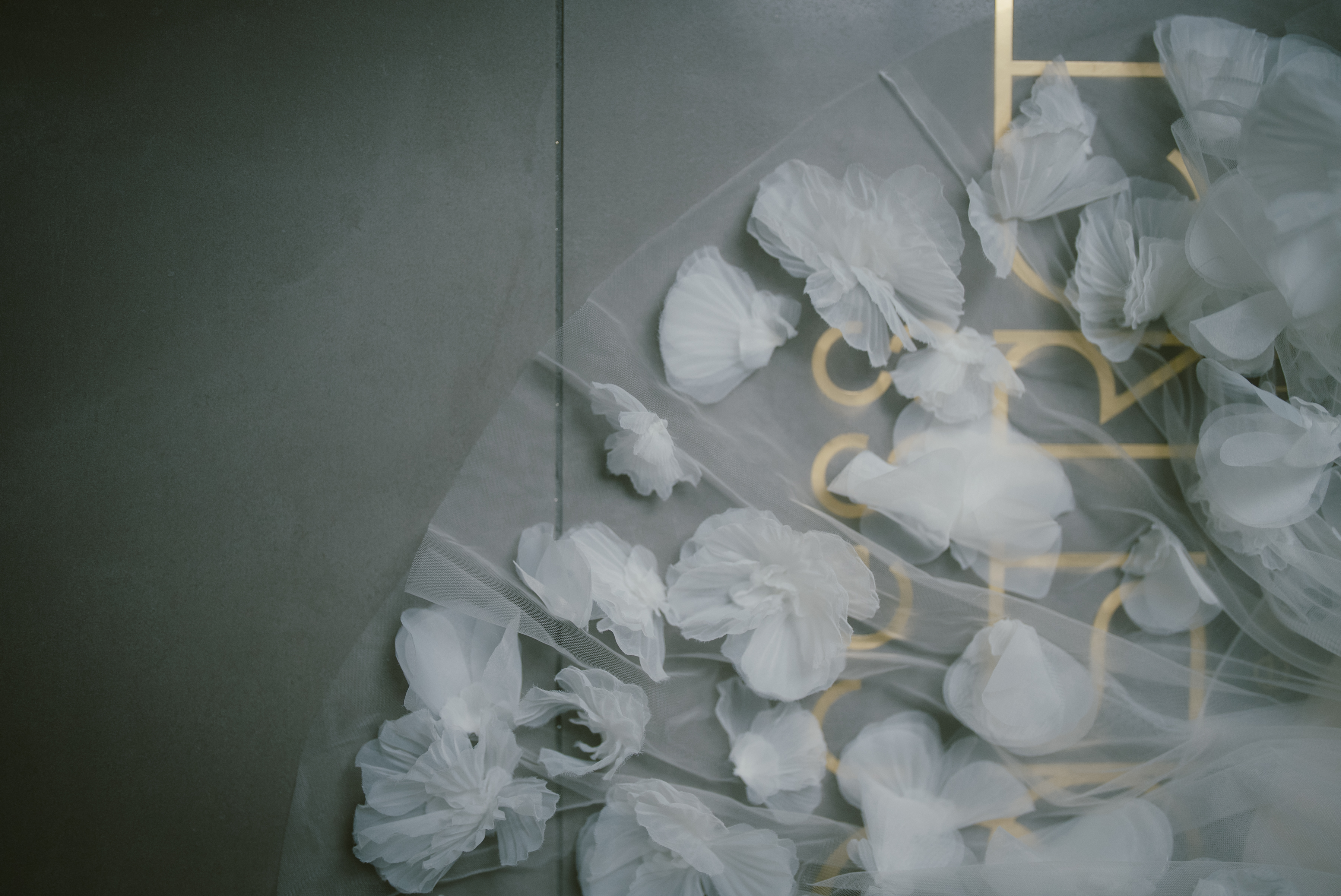 20以上ある撮影シーン