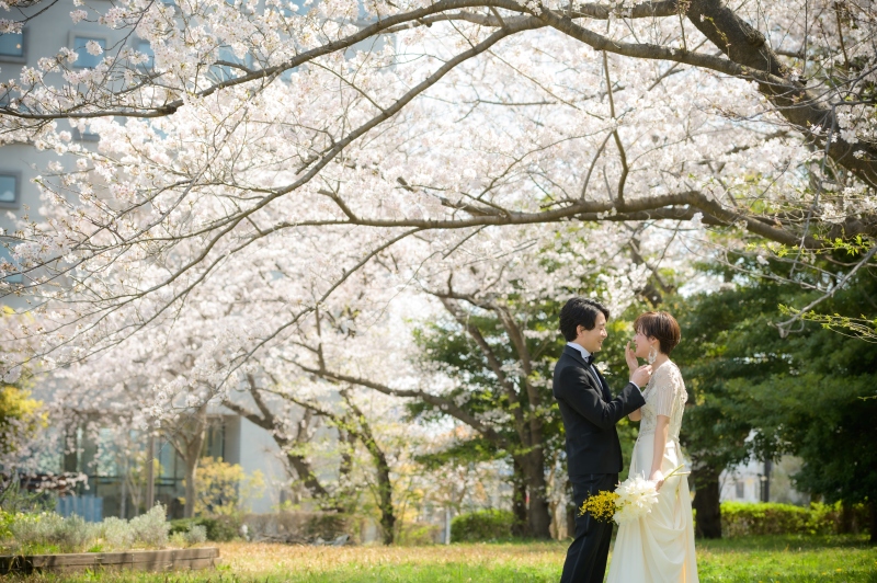 【和洋装】3月26日～4月4日に撮影される方限定/高宮庭園茶寮の歴史を感じる邸宅をバックに桜と撮影する贅沢プラン