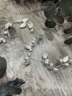 ヘアアクセサリー