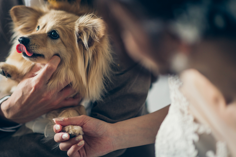 一瞬の可愛いを