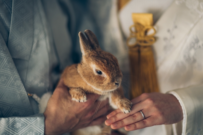 Bridal Photo Studio Lien ~リアン~ 広島店_ペットと一緒に撮影できる