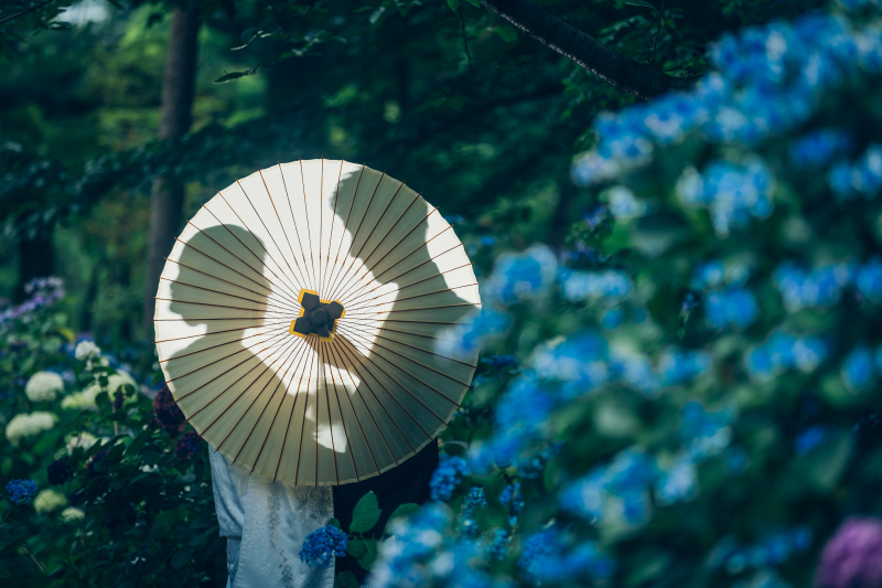 四季折々の彩りで...