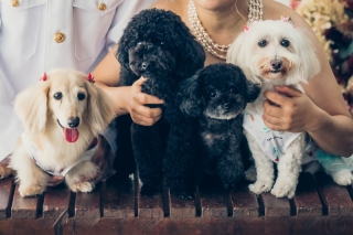 Bridal Photo Studio Lien ～リアン～ 広島店