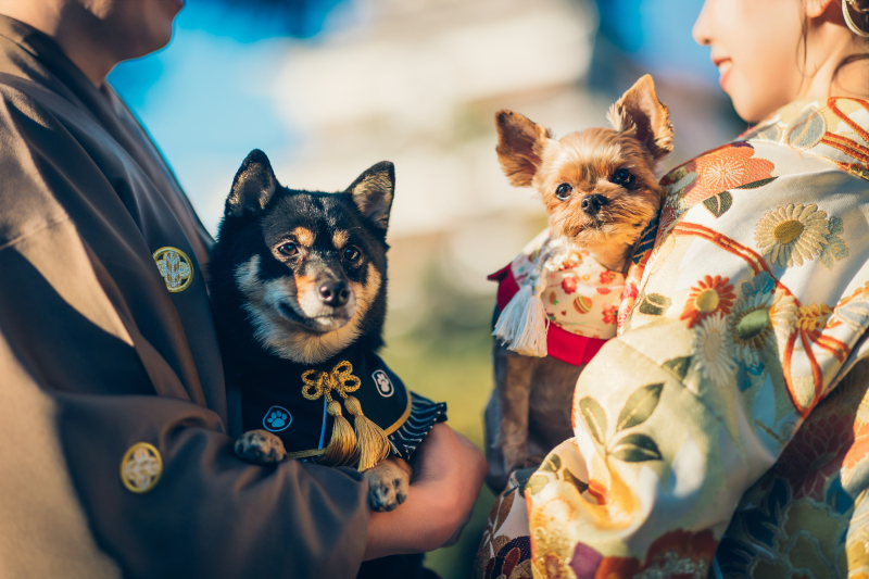 Point1 多彩な撮影シーン