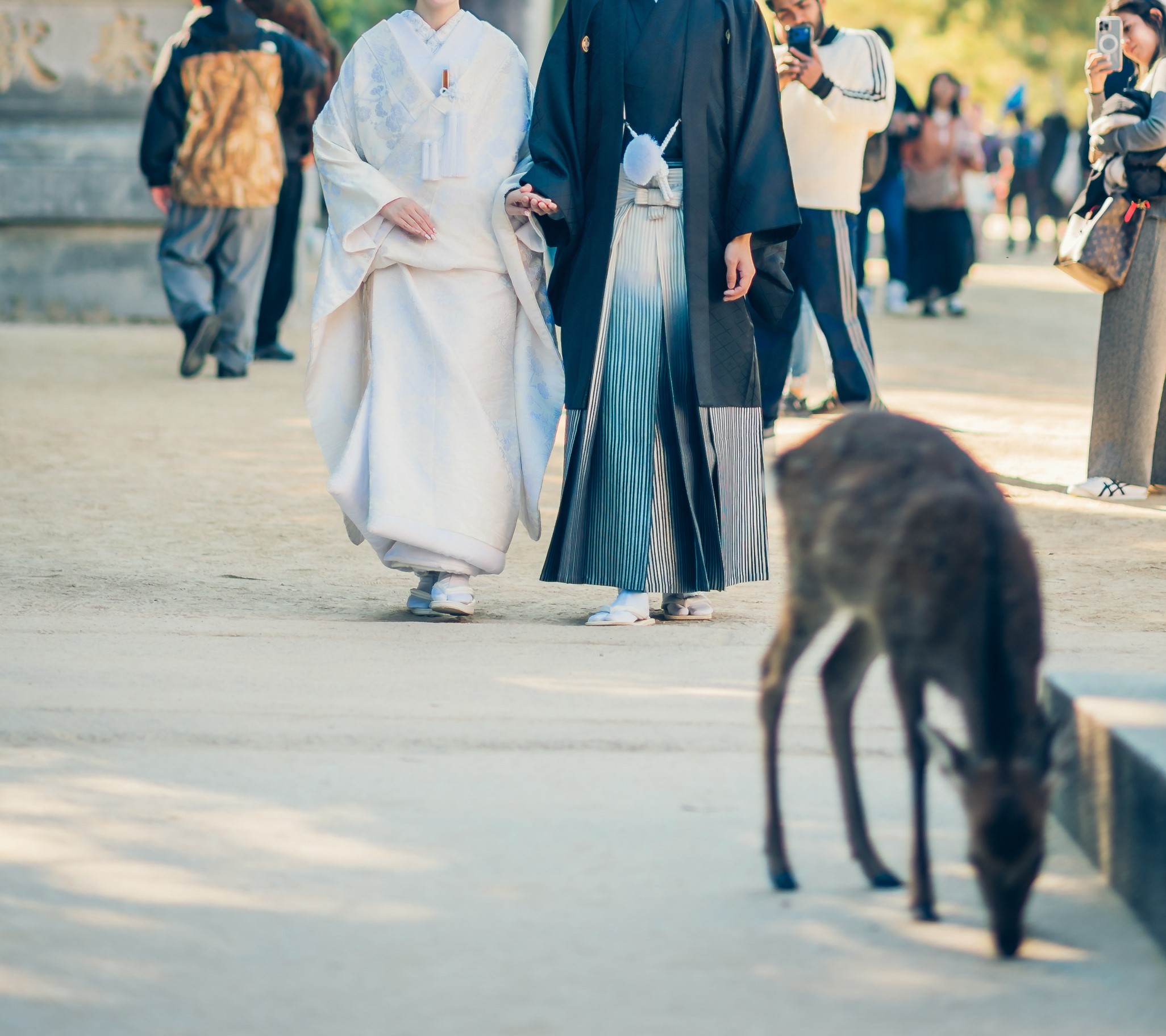 20以上ある撮影シーン