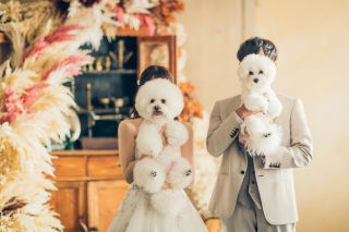 Bridal Photo Studio Lien ~リアン~ 広島店_洋装スタジオ