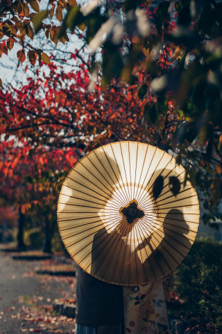 Bridal Photo Studio Lien ～リアン～ 広島店_プラン内ロケーション