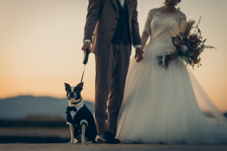 Bridal Photo Studio Lien ～リアン～ 広島店_洋装ロケーション