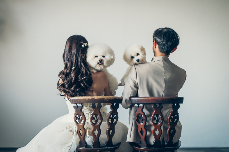 studio限定20カットプラン