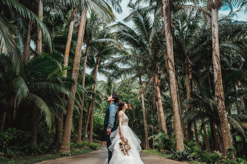 【八重山ヤシ】