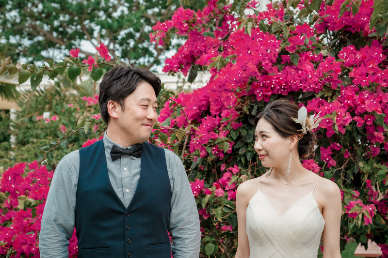 【ブーゲンビリア】