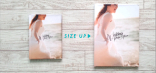 アルバム LARGE SIZE