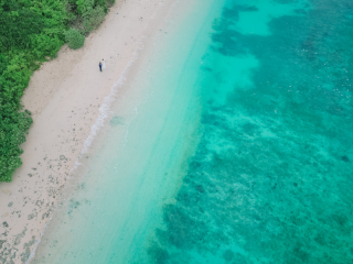 ショートフィルム