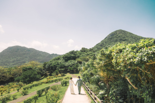 BEREL 石垣島 Photo & Movie_【GREEN】グリーン