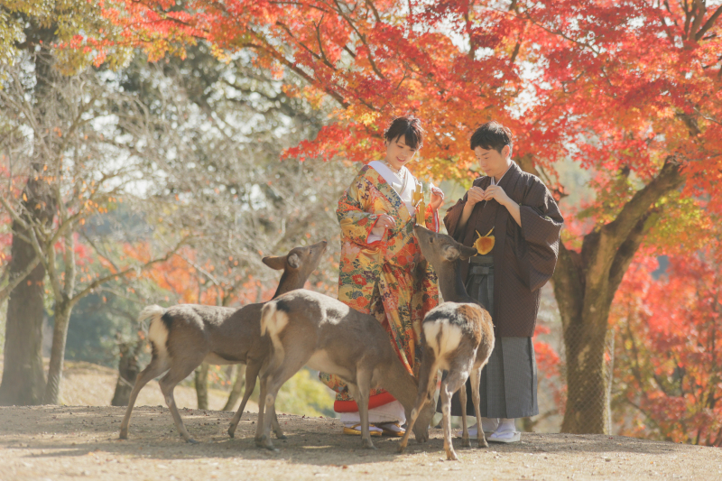 可愛い鹿ちゃんと一緒に