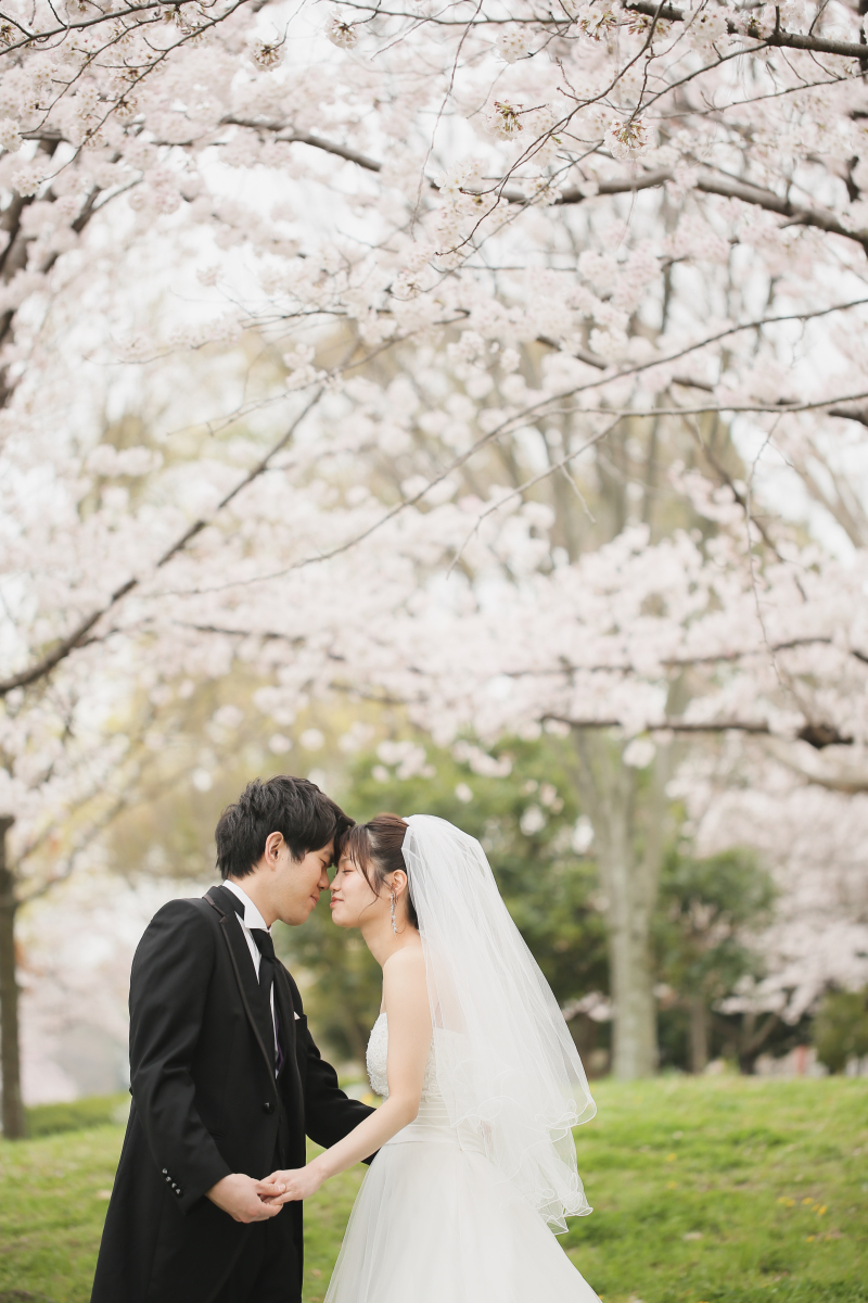 満開の桜ウェディング