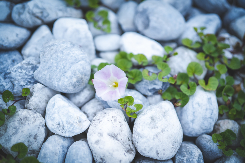 その日の景色、空気、空間も