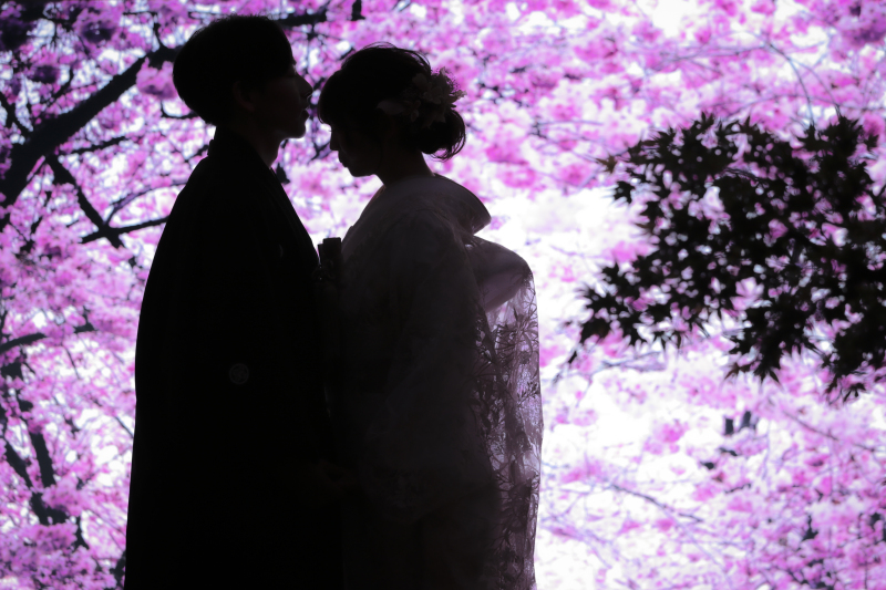 これが噂の大型ビジョン