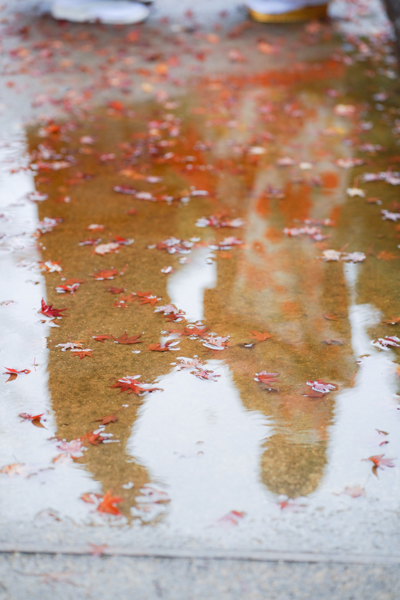 雨天の撮影もできます！
