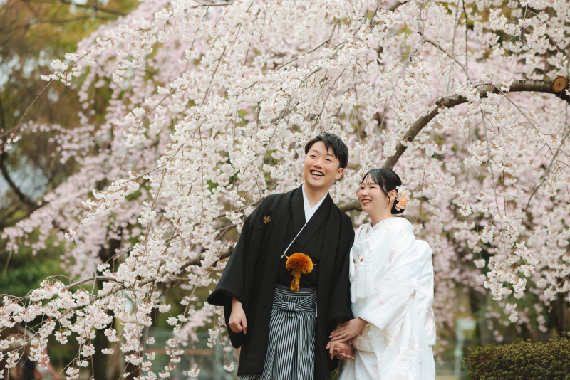 満開の桜をバックに